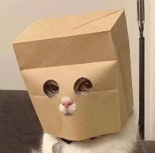 ZCAT