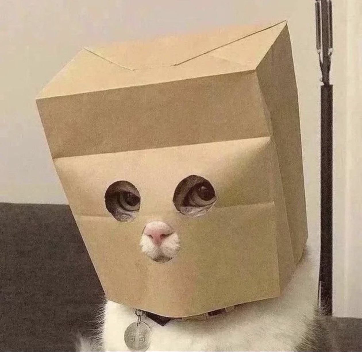 ZCAT