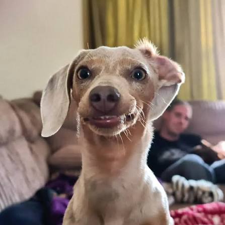 RAWDOG