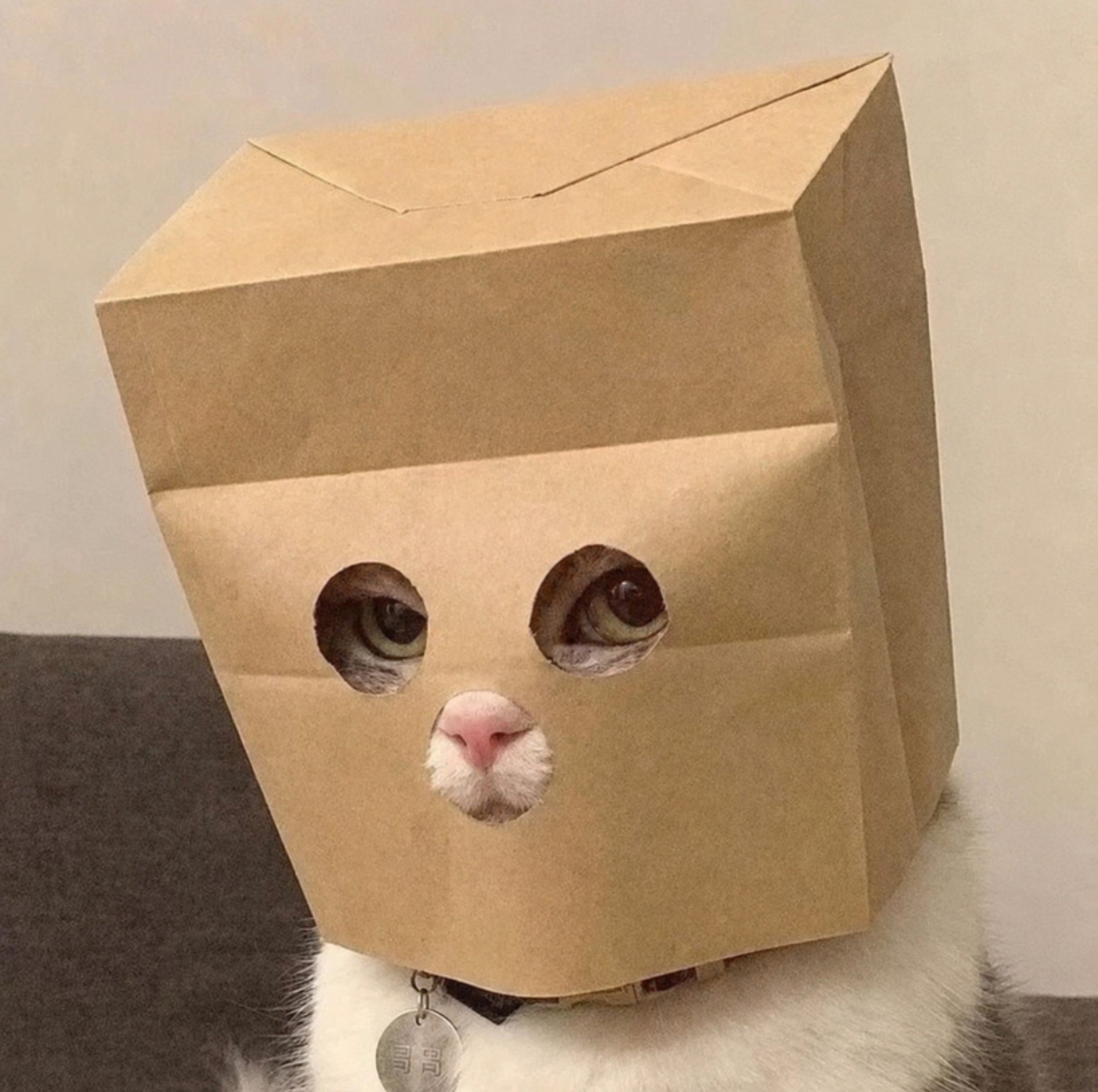ZCAT