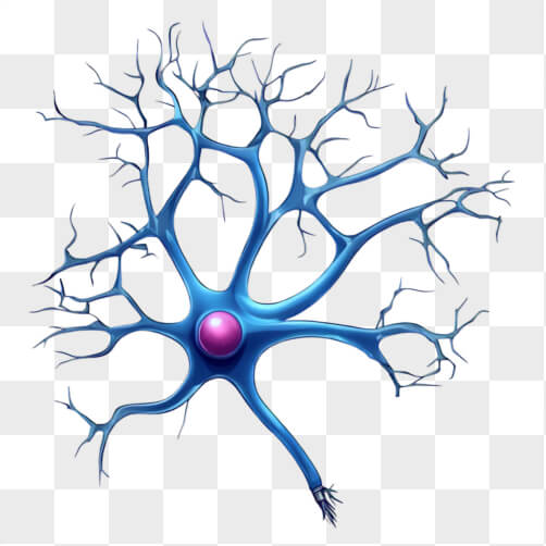 NEURON